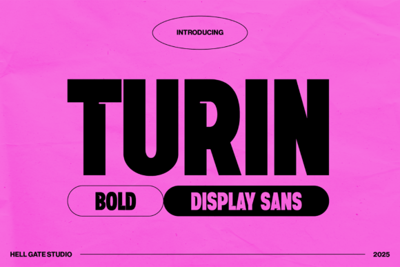 Turin: The Bold Display Font for Polished Business Branding